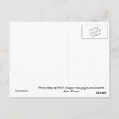 Maui, Hawaii Postkarte (Rückseite)