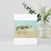 Maui Hi Beach Turtle 2014 Postkarte (Stehend Vorderseite)