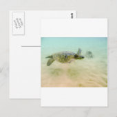 Maui Hi Beach Turtle 2014 Postkarte (Vorne/Hinten)