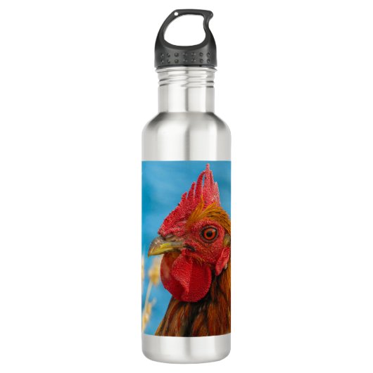 Maui-Hühnerportrait auf einer Flasche aus rostfrei Edelstahlflasche (Vorderseite)