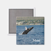Maui Humpback Whale bricht Magnet (Vorderseite/Rückseite)
