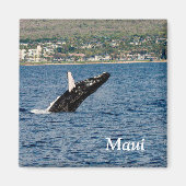 Maui Humpback Whale bricht Magnet (Vorne)