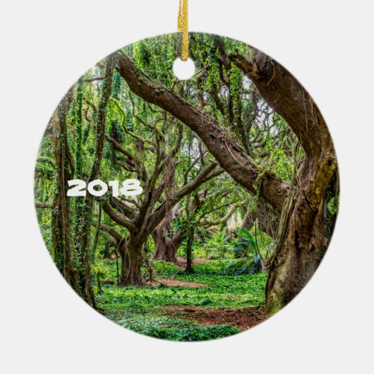 Maui Landscape Keramik Ornament (Hinten)