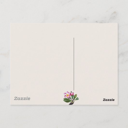 Maui Map Postkarte (Rückseite)