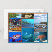 Maui Ocean Center Postkarte (Vorne/Hinten)