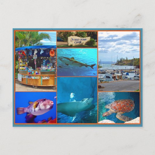 Maui Ocean Center Postkarte (Vorderseite)