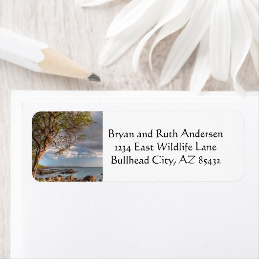 Maui Ocean View (Insitu)