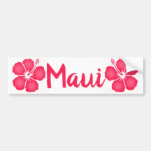 Maui Pink Hibiskus