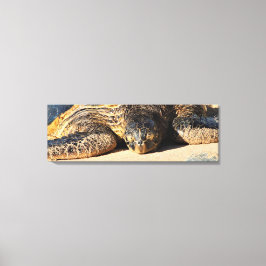 Maui Sea Turtle Canvas Print Leinwanddruck