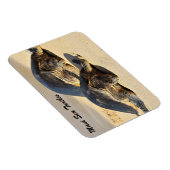 Maui Sea Turtles Magnet (Rechte Seite)