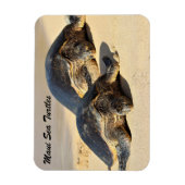 Maui Sea Turtles Magnet (Vertikal)