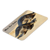 Maui Sea Turtles Magnet (Linke Seite)