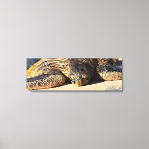 Maui-Seeschildkröte-Leinwand-Druck Leinwanddruck