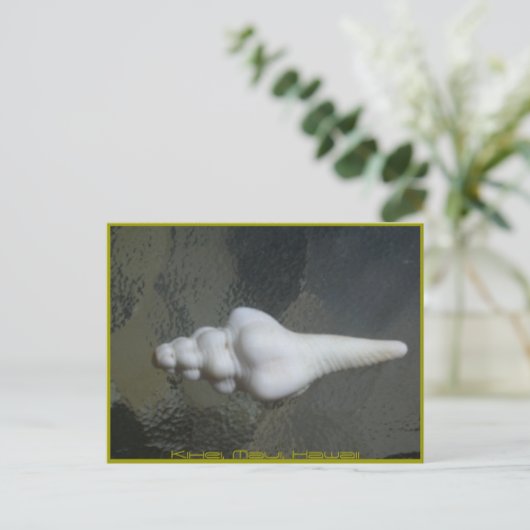 Maui-Spindel-Muschel, Postkarte (Stehend Vorderseite)