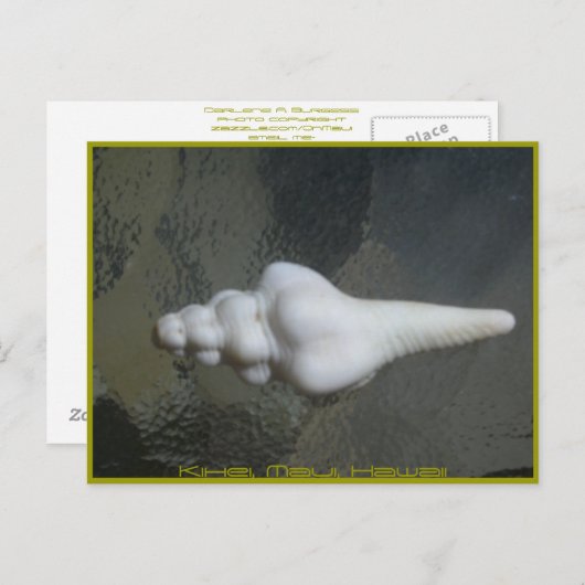 Maui-Spindel-Muschel, Postkarte (Vorne/Hinten)