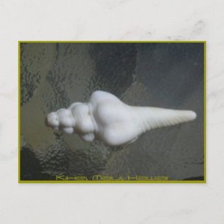 Maui-Spindel-Muschel, Postkarte