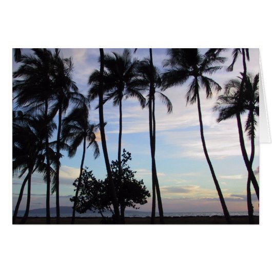 Maui Sunset 1 (Vorderseite (Horizontal))