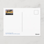 Maui Sunset Postkarte (Rückseite)