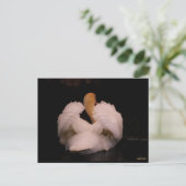 Maui Swan Postcard Postkarte (Stehend Vorderseite)