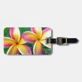 Maui tropische Plumeria-Blumen Gepäckanhänger (Vorderseite horizontal)