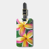 Maui tropische Plumeria-Blumen Gepäckanhänger (Vorderseite vertikal)