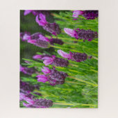 Maui Upcountry Lavender Blooms Puzzle (Vertikal)