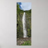 Maui Wasserfall - Straße nach Hana 2008 Poster (Vorne)