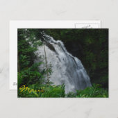 Maui Waterfall Postcard Postkarte (Vorne/Hinten)