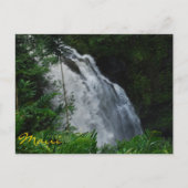 Maui Waterfall Postcard Postkarte (Vorderseite)