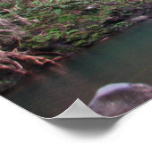 Maui Waterfall Poster (Ecke)