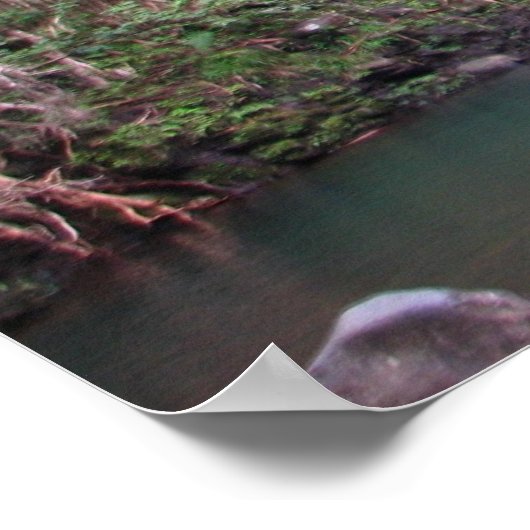 Maui Waterfall Poster (Ecke)