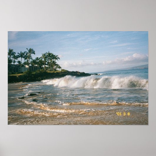 Maui Waves Poster (Vorne)