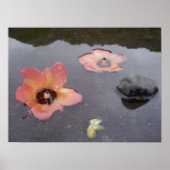 Maui Zen Poster (Vorne)