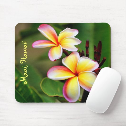 Mauiplumeria-Blumen Mousepad (Mit Mouse)