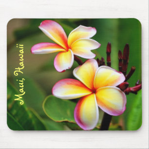 Mauiplumeria-Blumen Mousepad