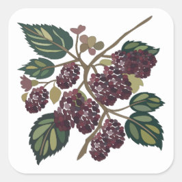 Maulbeerbaum Maulbeeren Obstgarten Hochzeitsfeier Quadratischer Aufkleber