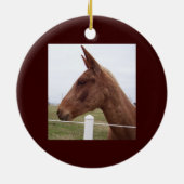 Maultier-Gezeiten-Verzierung Keramikornament (Hinten)