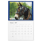 MAULTIER-MAULTIER-MAULTIERE KALENDER (Feb 2027)