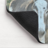 Maultier mousepad-fertigen besonders an mousepad (Ecke)