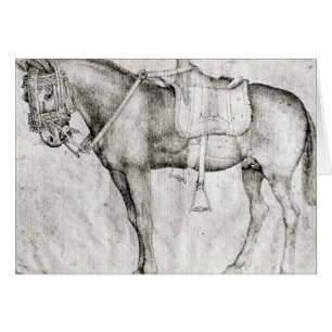 Maultier, vom Vallardi Album