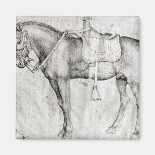 Maultier, vom Vallardi Album Magnet