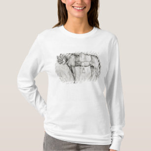 Maultier, vom Vallardi Album T-Shirt