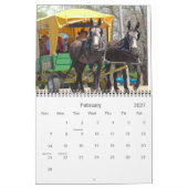 Maultiere und Esel Kalender (Feb 2027)
