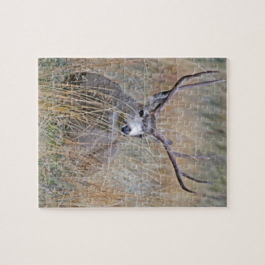 Maultierhirsch 15 puzzle (Horizontal)