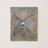 Maultierhirsch 15 puzzle (Vertikal)