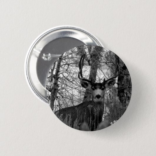 Maultierhirsch 5x5 button (Vorne & Hinten)