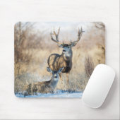 Maultierhirsch Bock und Hirschkuh Mousepad (Mit Mouse)