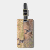 Maultierhirsch-Damhirschkuh und Kitz Gepäckanhänger (Vorderseite vertikal)