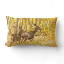 Maultierhirsch-Damhirschkuh und Kitz in der