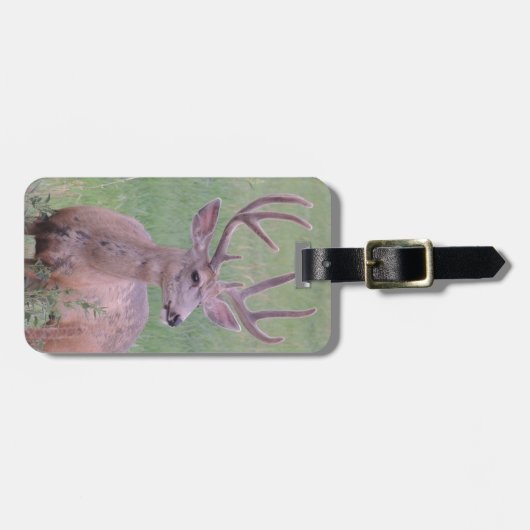 Maultierhirsch-Dollar Gepäckanhänger (Vorderseite horizontal)